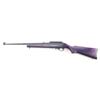 Image 2 : Ruger 10/22 .22 LR SN: 253-79376