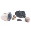 Image 2 : Array of Black Petrified Wood.