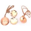 Image 3 : 4 Copper Pendants & 2 Chains.