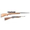 Image 1 : Lot of Two Air Rifles.