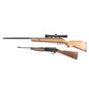 Image 2 : Lot of Two Air Rifles.