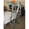 Image 1 : 12ft Adjustable Ladder