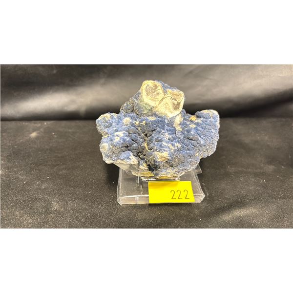 BLUEBERRY SPECIMEN ON A STAND * RETAIL VALUE $1100.00 *