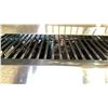 Image 3 : NXR STAINLESS STEEL PROPANE GRILL