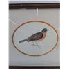 Image 2 : Framed Bird Drawing 11 x 10"