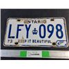 Image 1 : 1973 Ontario Car Plate