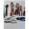 Image 3 : Pliers/Snips and Vice Grips