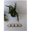 Image 2 : Home Decor- Sign, Artificial Plants