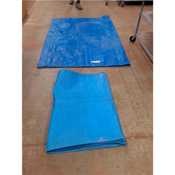 *(2) Coverall Tarps, 67" x 92" and 136" x 192"