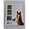 Image 2 : Horses Encyclopedia
