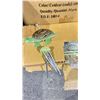 Image 8 : PALLET OF ASSORTED HOUSEHOLD ITEMS *MUST TAKE ALL*