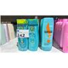 Image 3 : ASSORTED BOTTLES OF SHAMPOO & CONDITIONER