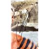 Image 2 : AUTOGRAPHED JASON MOMOA PHOTO 8" X 10"