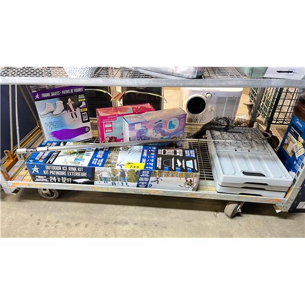 OUTDOOR ICE RINK KIT, ASSORTED FIGURE SKATES, COLLAPSIBLE STORAGE BINS & A FISH NET