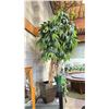Image 1 : FAUX POTTED PLANT APPROX 7' TALL
