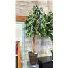 Image 2 : FAUX POTTED PLANT APPROX 7' TALL