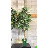 Image 1 : FAUX POTTED PLANT APPROX 7' TALL
