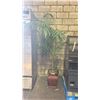 Image 1 : FAUX POTTED PLANT APPROX 7' TALL