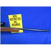 Image 8 : Non-Restricted - Cooey by Winchester Model 64 in 22 LR