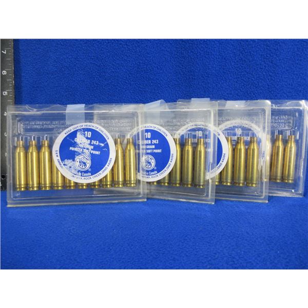 Brass Only - 243 Win. S&W Unprimed - 4 Packs of 10