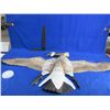 Image 2 : Jackite Kite - Canada Goose - New Old Stock