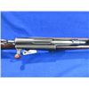 Image 10 : Non-Restricted - Schmidt Rubin in 7.5X55 Swiss