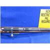 Image 9 : Non-Restricted - CIL Model 171 in 22 LR