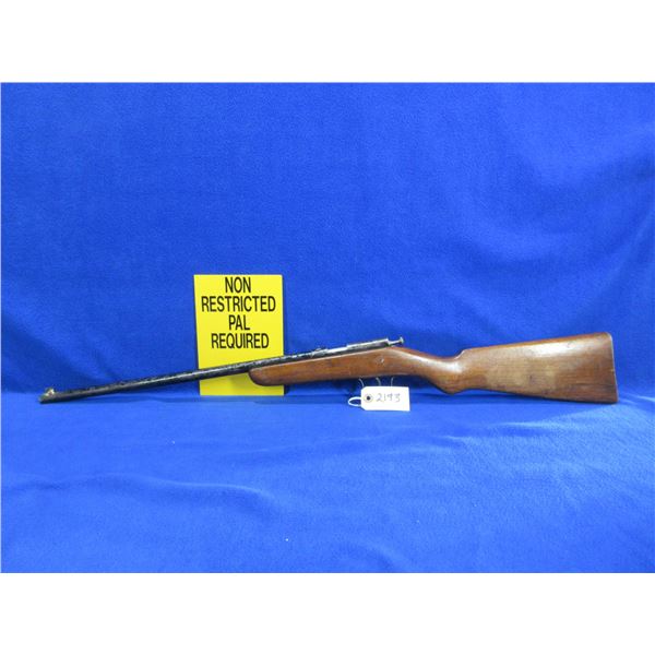 Non-Restricted - Cooey Rabbit in 22 LR