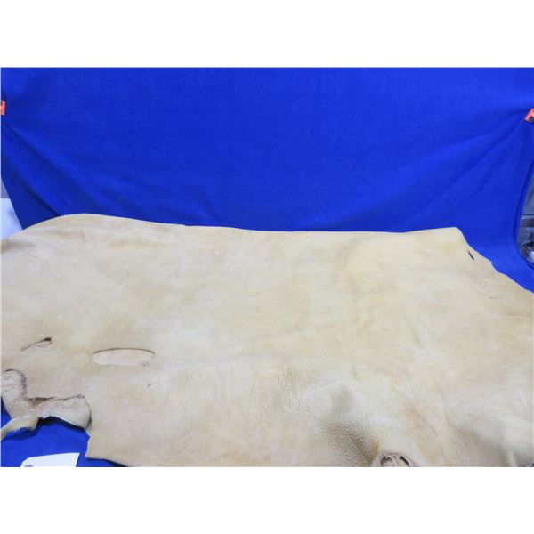 Elk Hide - 52" At The Widest Point x 55"