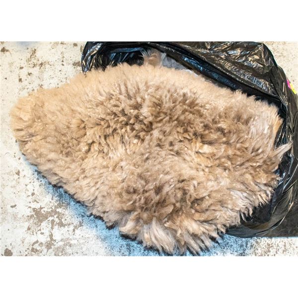 SHEEP SKIN