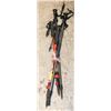 Image 1 : 2 PAIRS OF TREKKING COLLAPSIBLE POLES