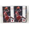 Image 1 : MICHAEL JORDAN SKYBOX