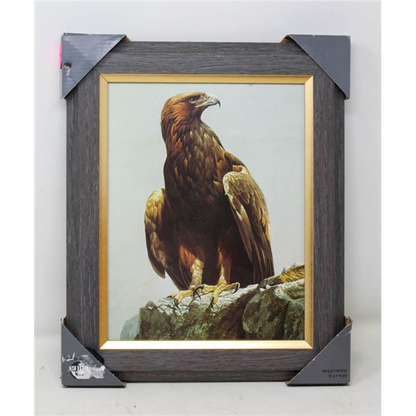 PATRICK BATEMAN EAGLE PICTURE