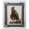 Image 1 : PATRICK BATEMAN EAGLE PICTURE