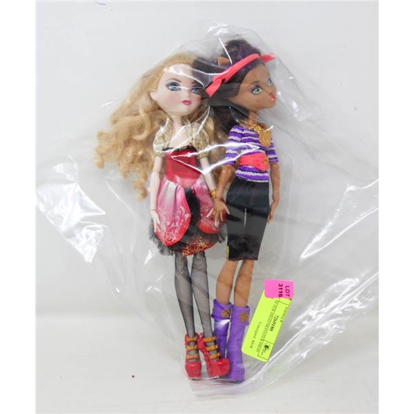 EVER AFTER HIGH/MONSTER HIGH DOLLS