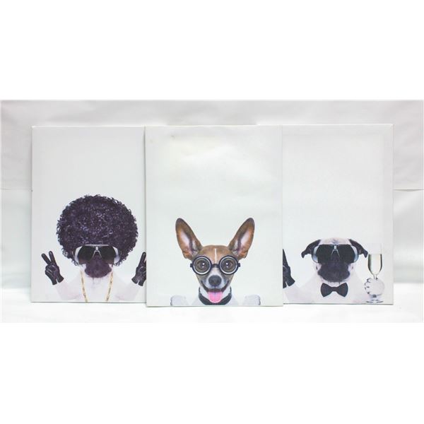 3 PUG PICTURES