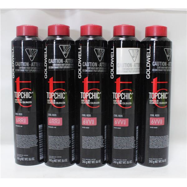 BAILIFF SEIZED (5) GOLDWELL TOPCHIC 6VV MAX +