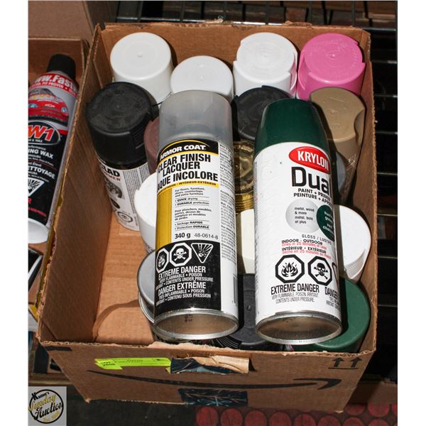 LOT OF SPRAY PAINT