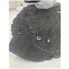 Image 5 : 3.78 BLACK ROUGH SHUNGHITE