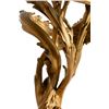 Image 3 : Pair of French Rococo Dore Bronze Candelabra