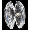 Image 4 : Swarovski Aquatic Worlds Crystal Shell Figurine