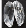 Image 5 : Swarovski Aquatic Worlds Crystal Shell Figurine