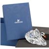 Image 2 : Swarovski Crystal Graceful Swan Figurine