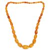 Image 1 : Butterscotch Egg Yolk Baltic Amber Bead Necklace