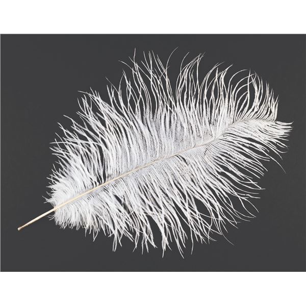 A Wingardium Leviosa Feather from Harry Potter.