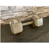 Image 1 : 40 Pound Cast Iron Dumbbell