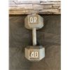 Image 2 : 40 Pound Cast Iron Dumbbell