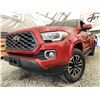 Image 1 : 0M -- 2020 TOYOTA TACOMA, RED, 18906 KMS, 4X4