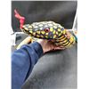 Image 4 : Plush Giant Snake Toy in Yellow and Black Body Design with Red Accents