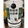 Image 3 : Lot of 2 Boomerang Interior Latex Paint Evergreen Velvet Finish 3.78 L